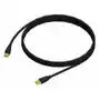 Kabel audio ADAM HALL USB A / USB A, 5 m Sklep on-line