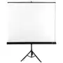 AVTek Ekran na statywie Tripod Standard 150 (1:2, 150x150cm, powierzchnia biała, matowa) Sklep on-line