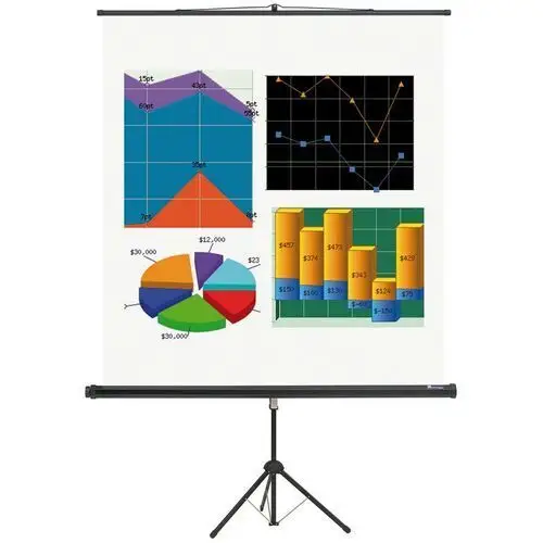 B2b partner Ekran projekcyjny na statywie basic, 1500 x 1500 mm