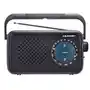 Blaupunkt Tradycyjne Radio Przenośne PR9BK Sklep on-line