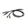 'DIE HARD DHG535LU3 KABEL AUDIO 2 X RCA M - 2 X MONO JACK M 3M DIE HARD DHG535LU3' Sklep on-line