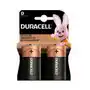 BAT BASIC D 2KP MON NC CE DOA DURACELL Sklep on-line