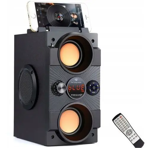 Feegar Dance Głośnik Bluetooth Radio Usb Sd 4000ma