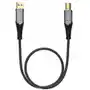 Fiio kabel przewód audio pozłacany Usb-a-usb-b 1m Sklep on-line