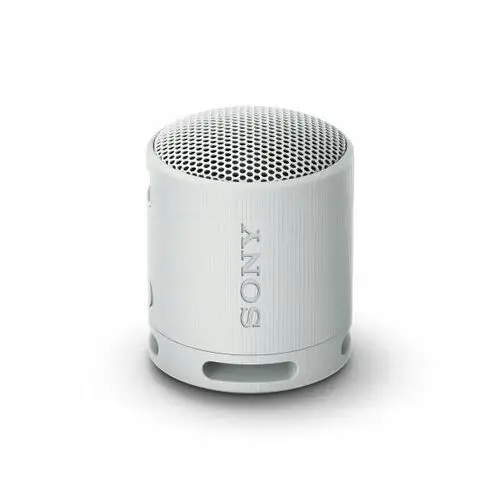 Głośnik przenośny mobilny Sony SRS-XB100 5W Bluetooth Akumulatorowy Szary