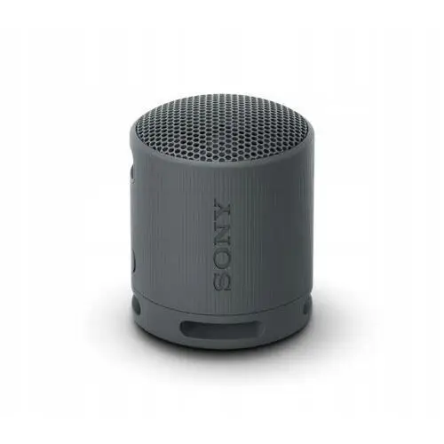 Głośnik przenośny Sony SRS-XB100 5W Bluetooth 5.3 Czarny