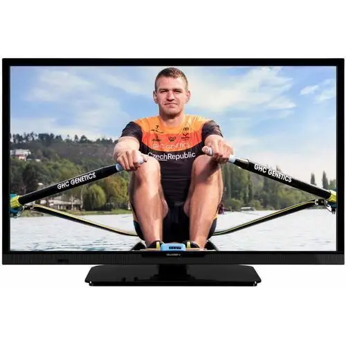 TV LED Gogen TVH 24P452