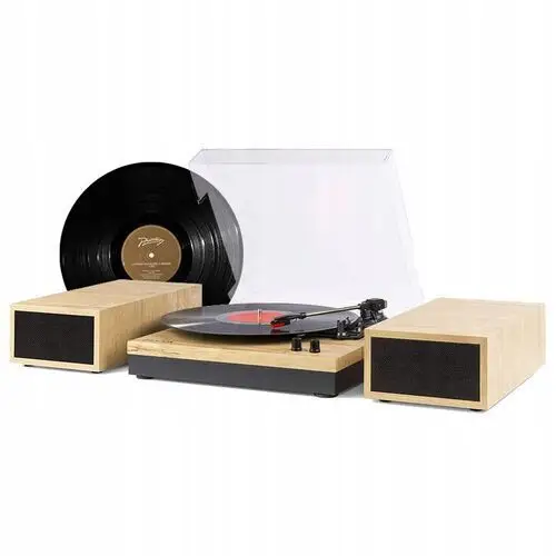 Gramofon z głośnikami Fenton 100W Bt jasny+ Vinyl