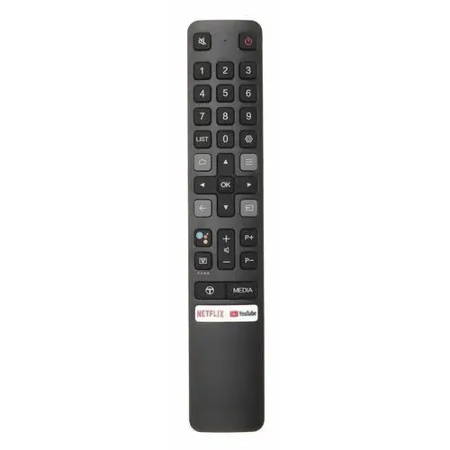 PILOT Do TV Telewizora THOMSON Youtube NETFLIX Voice Control RC901V