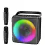 Karaoke Speaker Z Bluetooth 5.0 I 2 Bezprzewodowymi Mikrofonami Sklep on-line