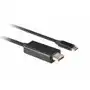 Lanberg Kabel USB-C (M)->Displayport 3M 4K 60HZ czarny Sklep on-line