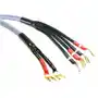 Melodika Kable głośnikowe bi-wiring - mdbw41515gs - 1.5m: długość - 1,5m Sklep on-line