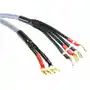 Melodika Kable głośnikowe bi-wiring - mdbw41520gs - 2m: długość - 2m Sklep on-line