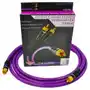 Melodika MDSW10 Purple Rain Kabel Do Subwoofera Rca Rca Cinch Ofc 1m Sklep on-line