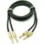 Nakamichi Kabel Głośnikowy 2x2,5 Banan Gold 1.5m Sklep on-line