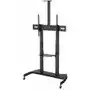 Newstar plasma-m1950e - stand Sklep on-line