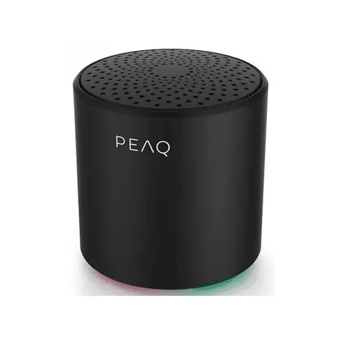 PPA 102-B Głośnik Bluetooth PEAQ