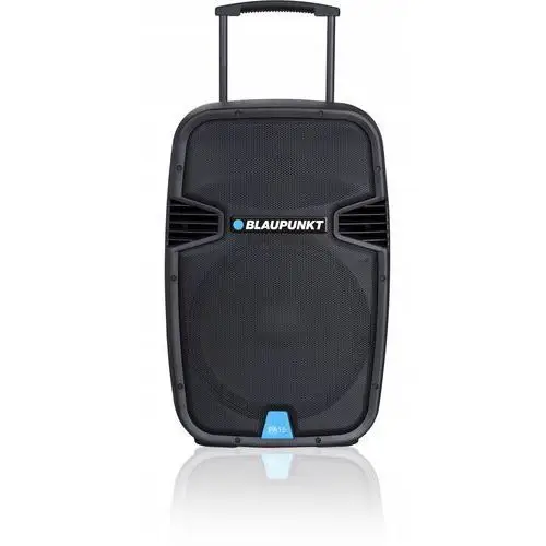 Profesjonalny System Audio Blaupunkt PA15