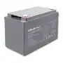 Qoltec Akumulator AGM 12V 100Ah max 1200A Sklep on-line