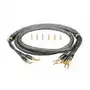 Kabel audio QUIST CABLE HIGH END LSC/BW4, Bi-Wire, 4.0 m Sklep on-line