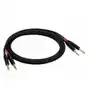 Kabel audio Red's Music AU1350 2xJ6,3 x 2xJ6,3 5m Sklep on-line