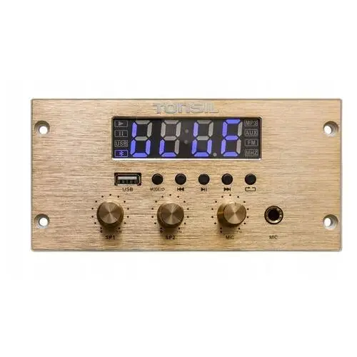 Tonsil Odtwarzacz ścienny WS-45P, 4 x 45W, Usb, Bt