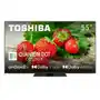 TV LED Toshiba 55QA7D63 Sklep on-line